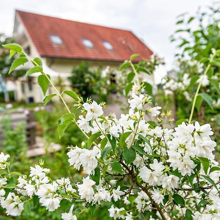 Beutenmuehle Straussenfarm Dach Owingen 外观 照片
