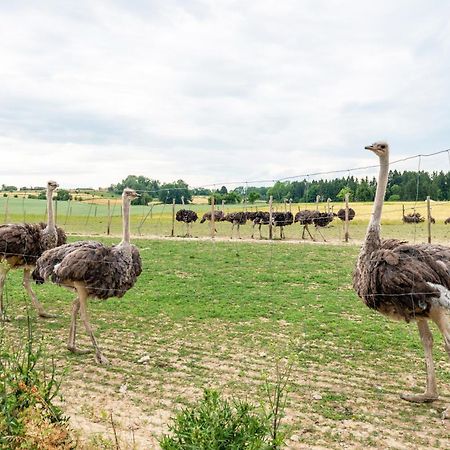 Beutenmuehle Straussenfarm Dach Owingen 外观 照片