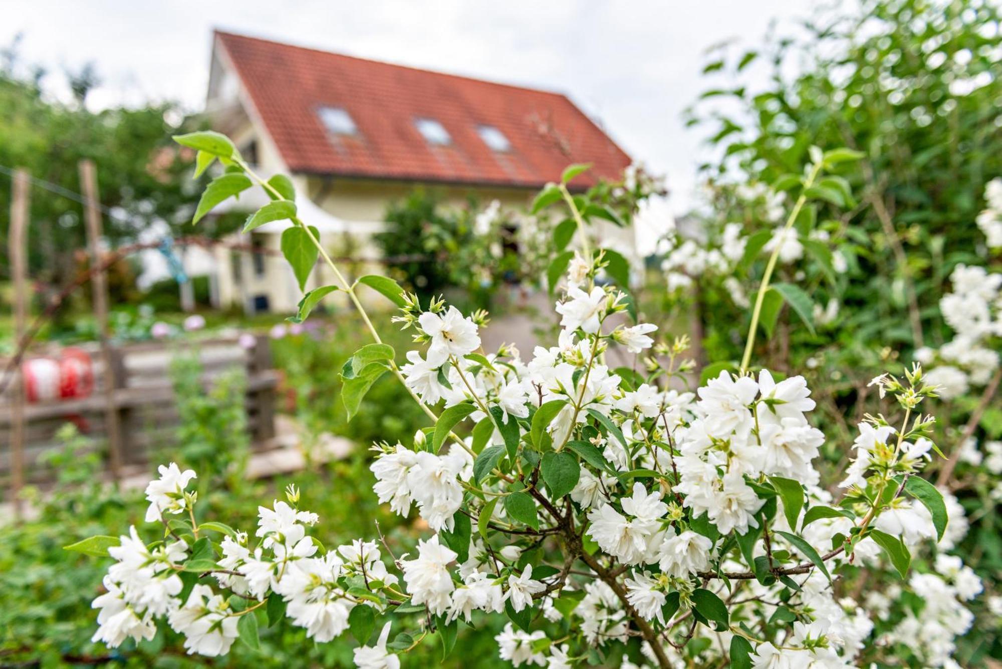 Beutenmuehle Straussenfarm Dach Owingen 外观 照片