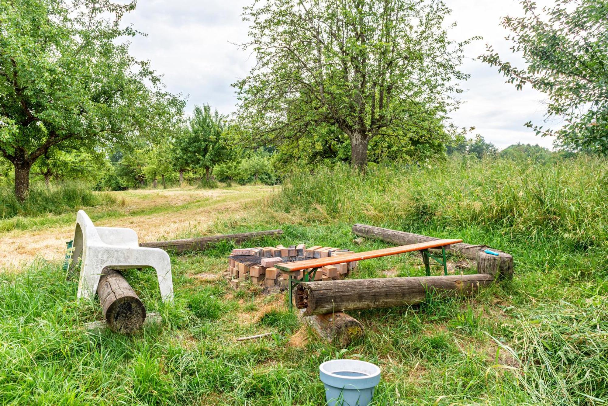 Beutenmuehle Straussenfarm Dach Owingen 外观 照片