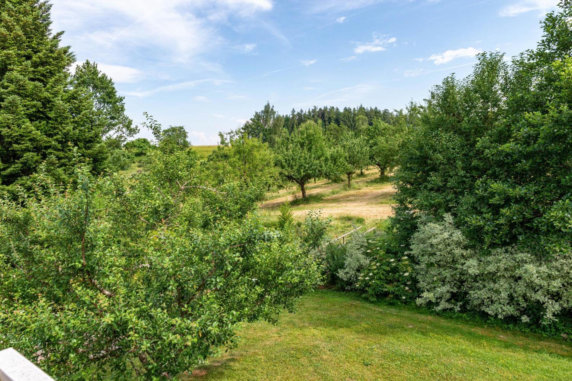 Beutenmuehle Straussenfarm Dach Owingen 外观 照片